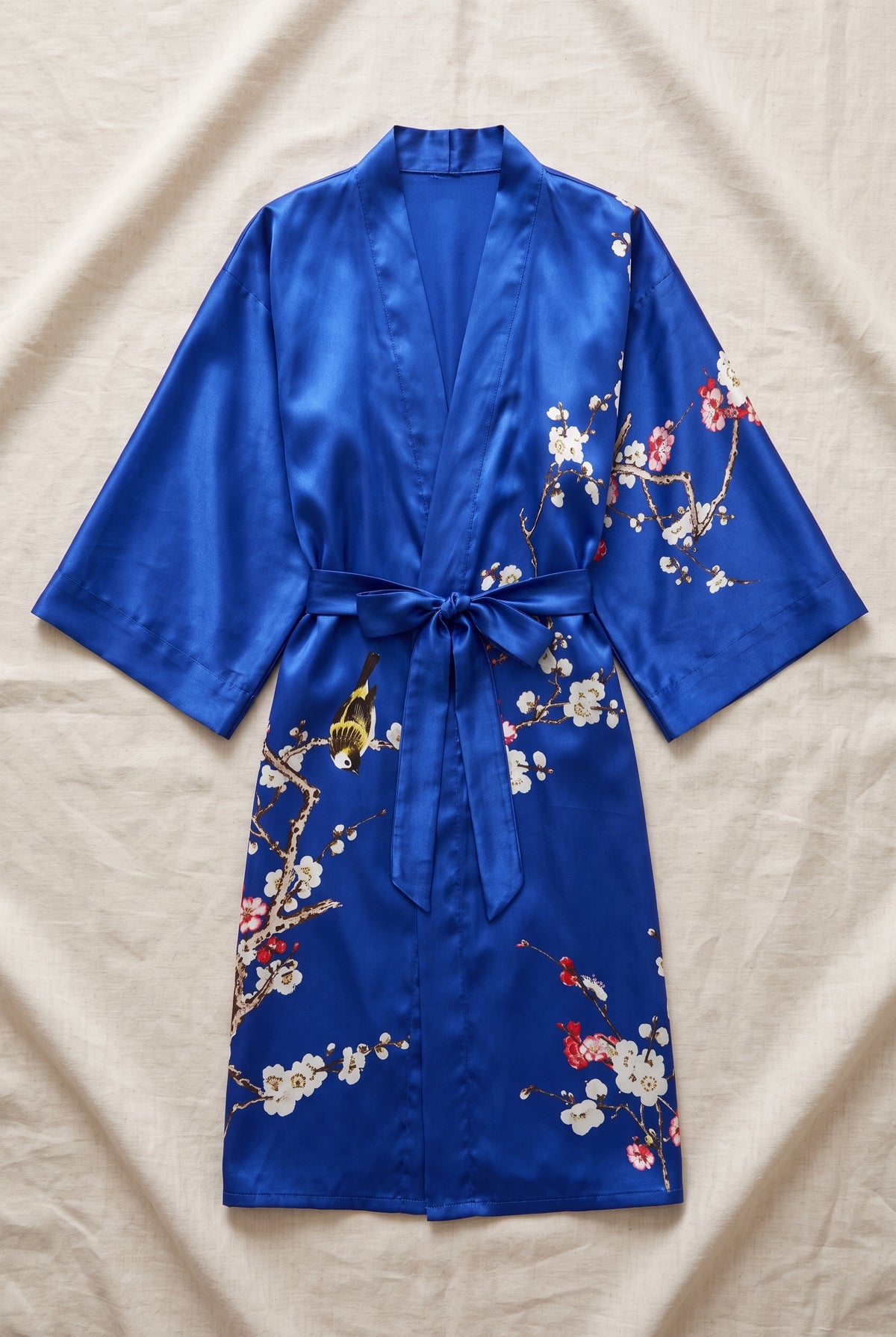 Silk Kimono Robe in Blue — studio front