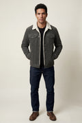 Gray Structured Trucker Jacket with Collar - Lined jackets - Photo 1