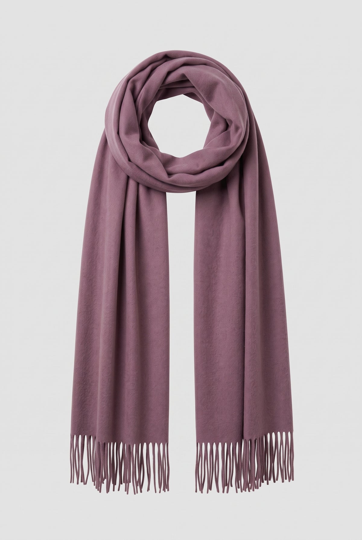 Cashmere Fringed Scarf in Violet — studio front