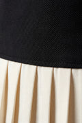 Black Black Contrast Pleated Hem Sleeveless A-line Mini Dress - Photo 3