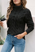 Cable-Knit Turtleneck Sweater in Black — studio front