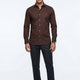 Marron foncé