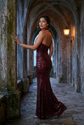 Red Halter Neck Cowl Maxi Dress with Open Back - Photo 14