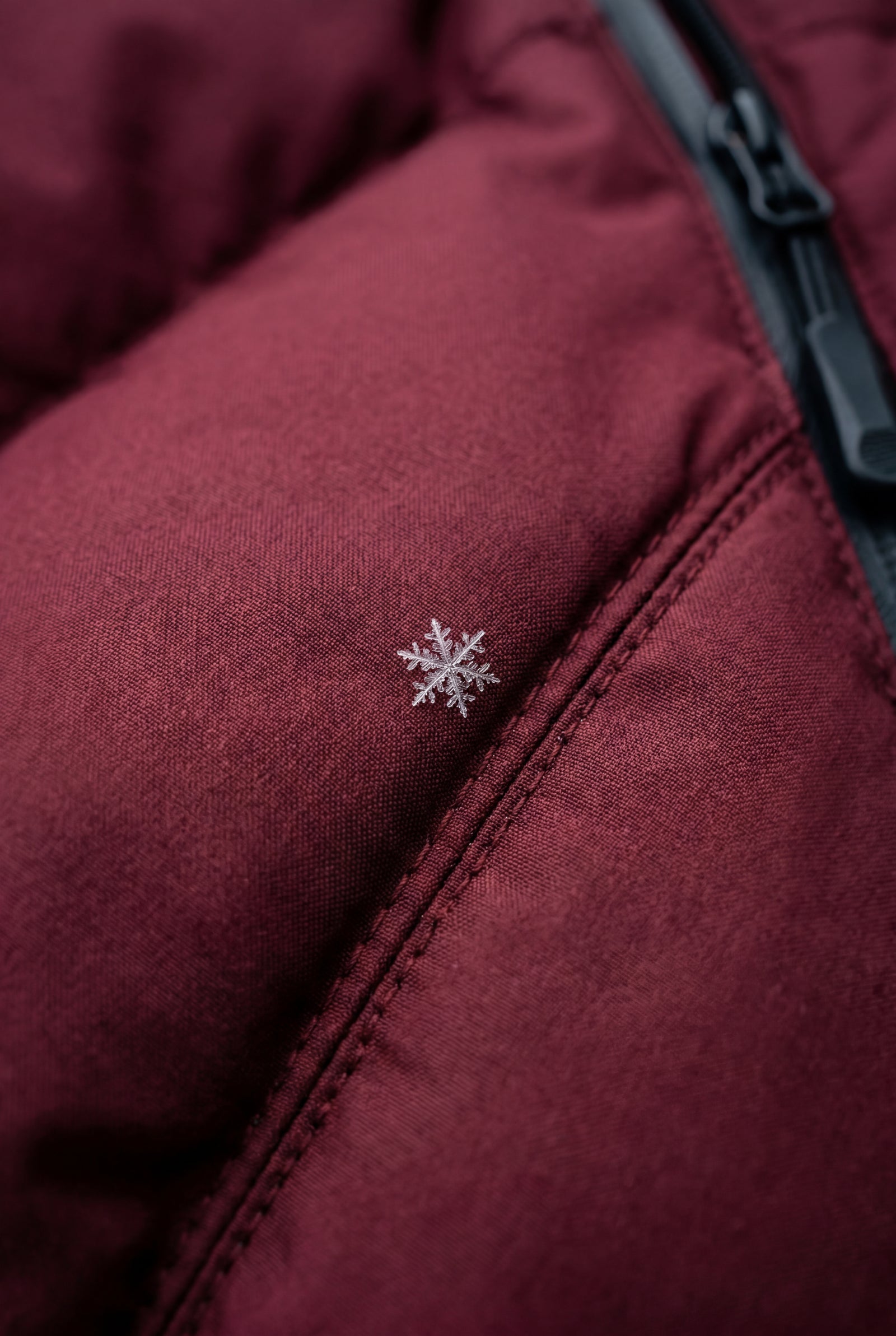 Wine Red Belted Padded Hooded Jacket with Fitted Waist - Padded jackets - Photo 5